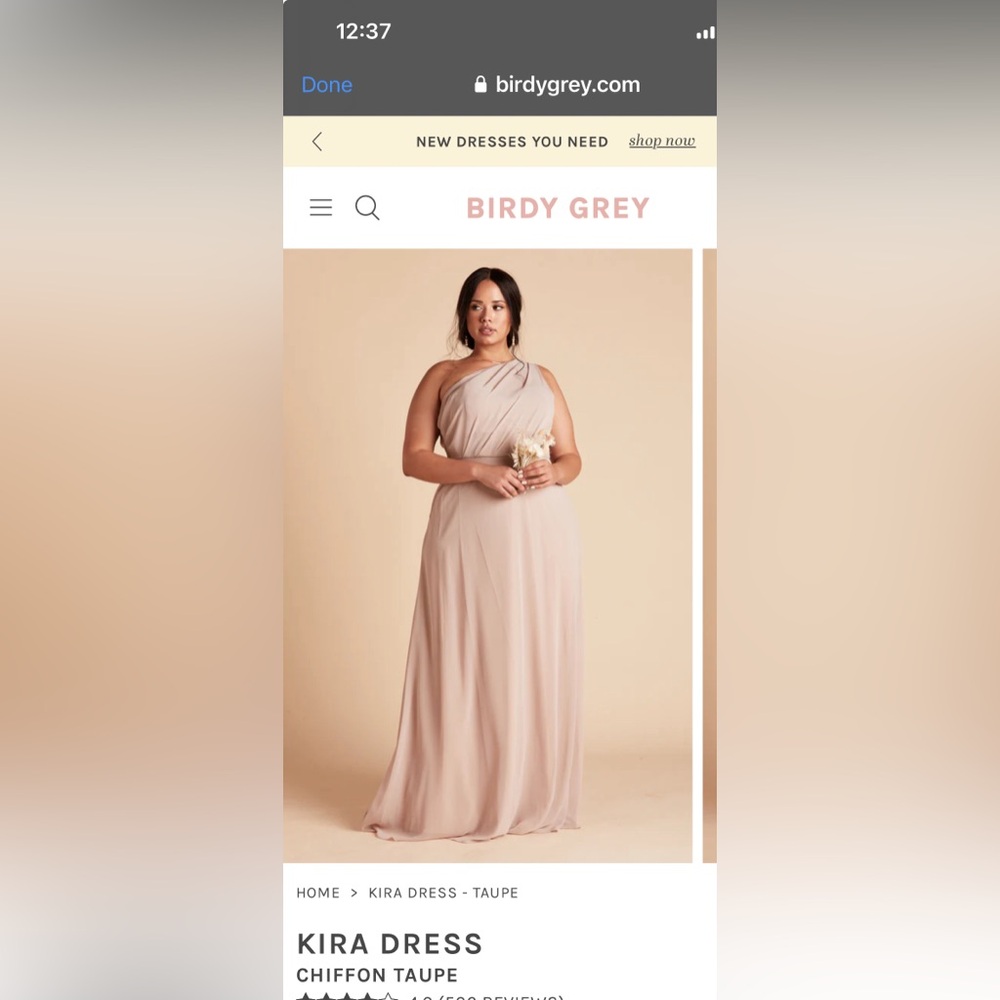 Never worn. Birdy Grey taupe chiffon bridesmaid dress size xxl